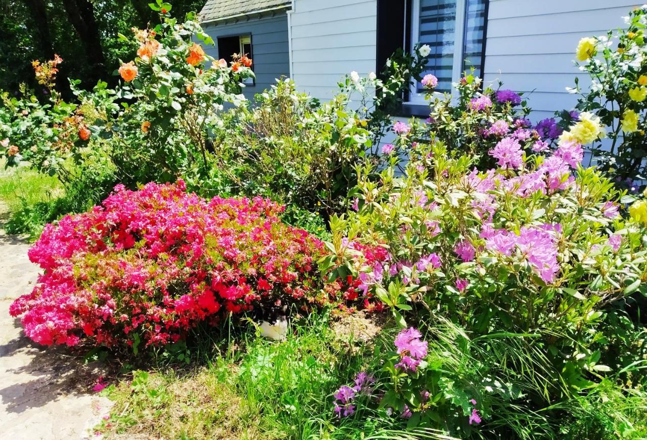 Le Sanctuaire Bed & Breakfast Missillac Dış mekan fotoğraf